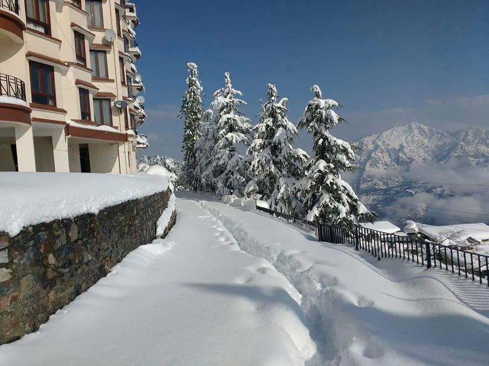 The Plumcove Mashobra Shimla