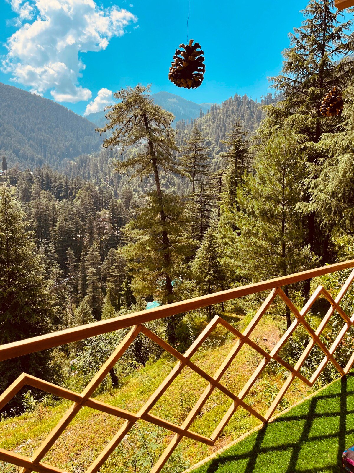Cedarhaven Cottage Jibhi