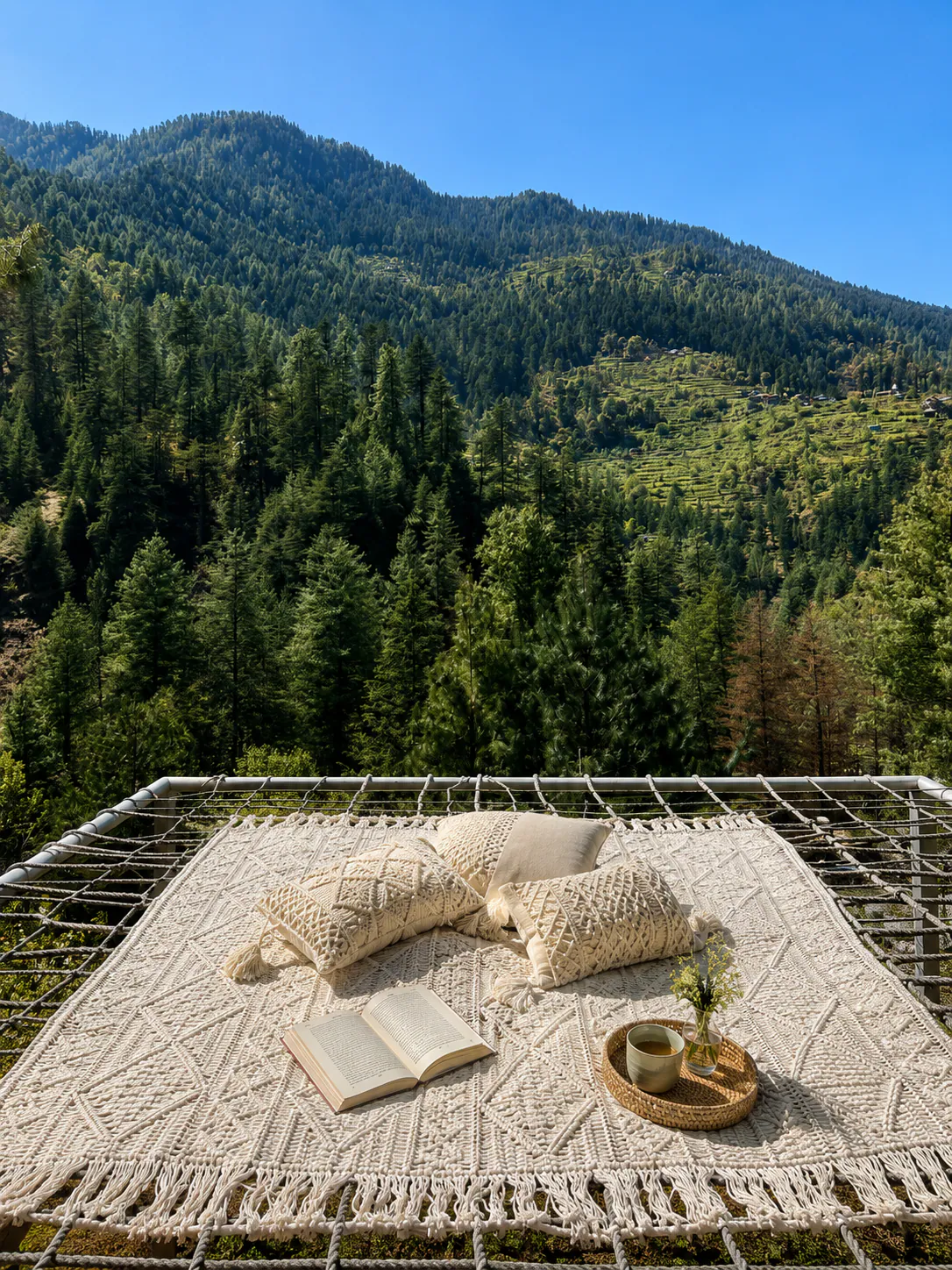 Buransh | Living Tree Glass Cabin Jibhi