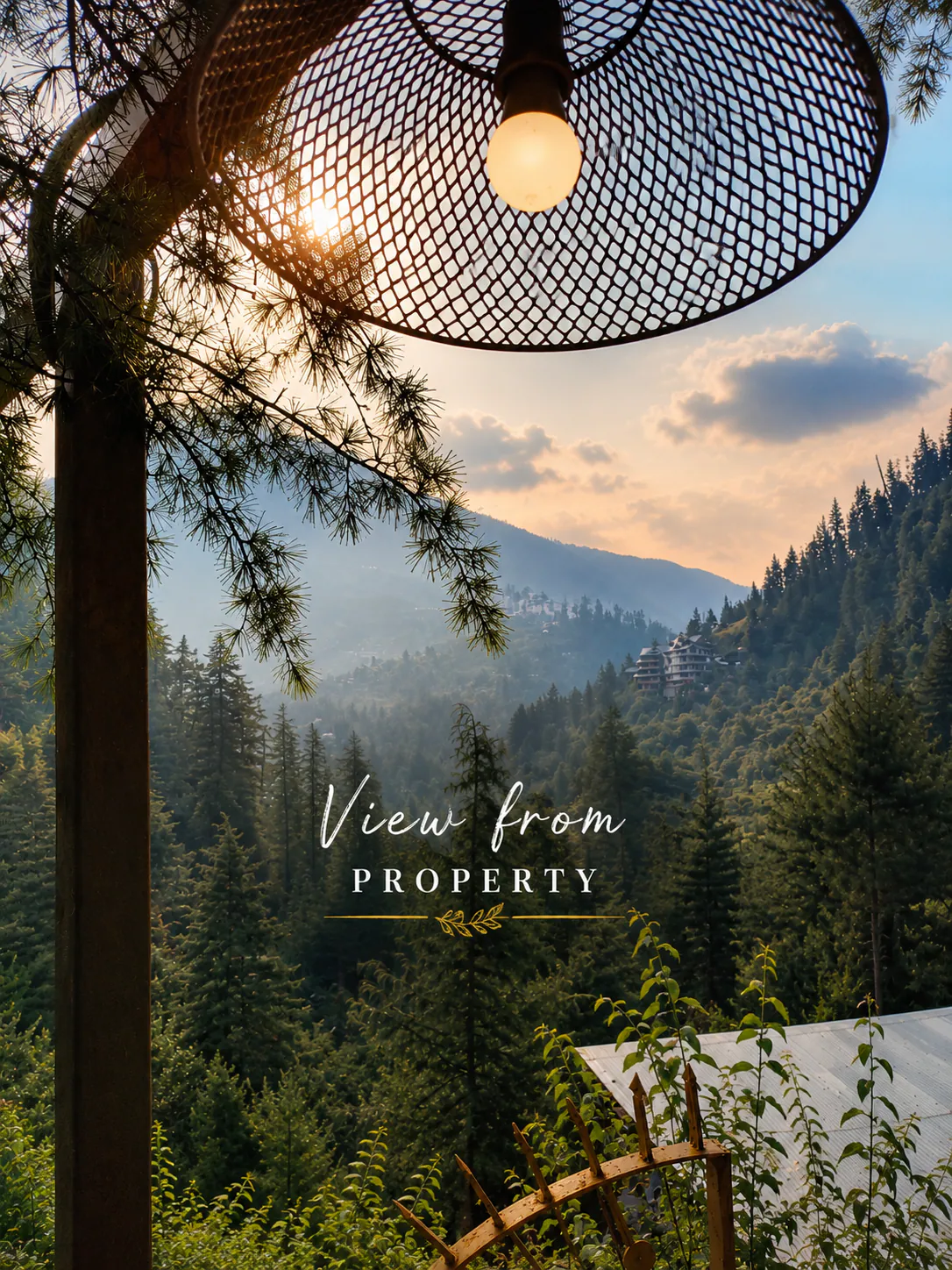 Buransh | Living Tree Glass Cabin Jibhi