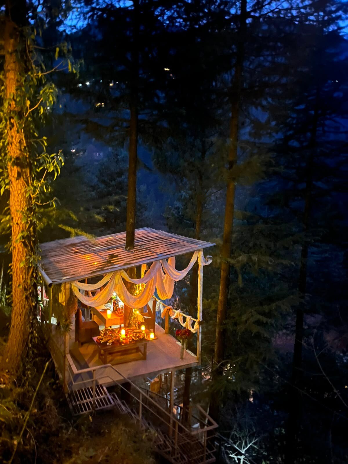 Buransh | Living Tree Glass Cabin Jibhi