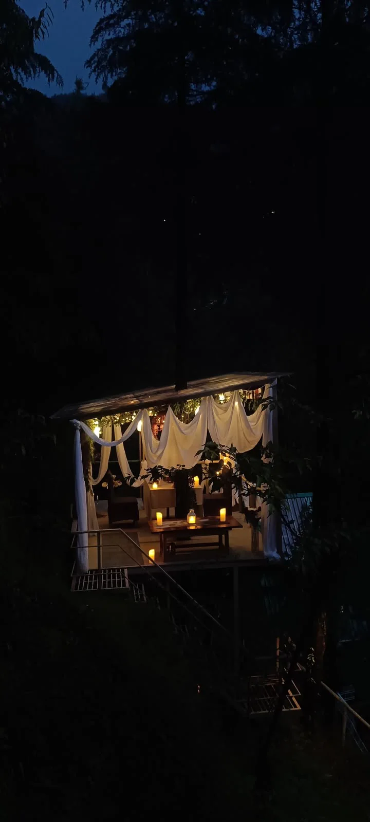 Buransh | Living Tree Glass Cabin Jibhi