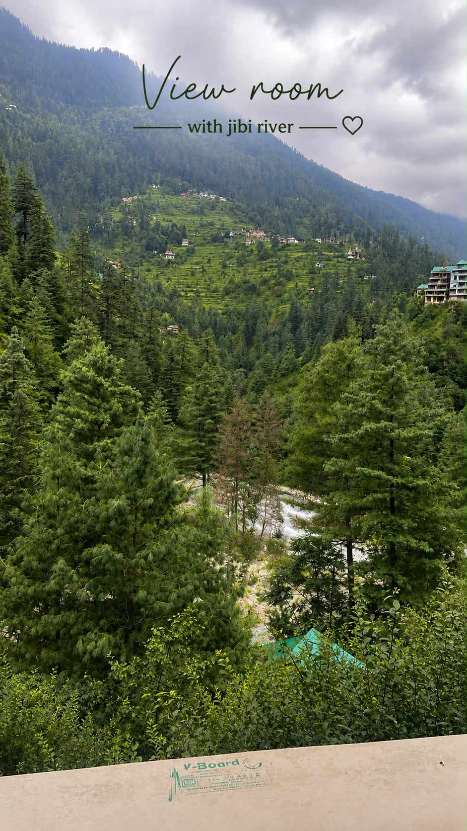 Buransh | Living Tree Glass Cabin Jibhi
