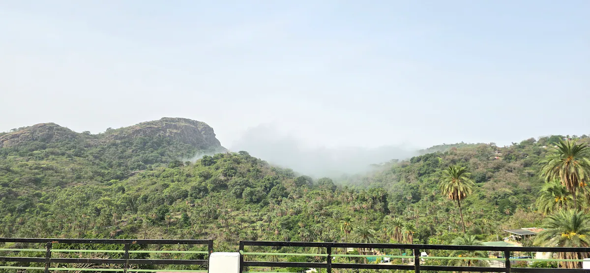 The Palm Villa Mount Abu