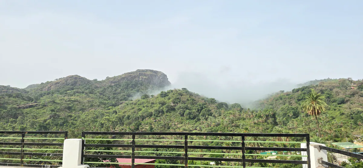 The Palm Villa Mount Abu