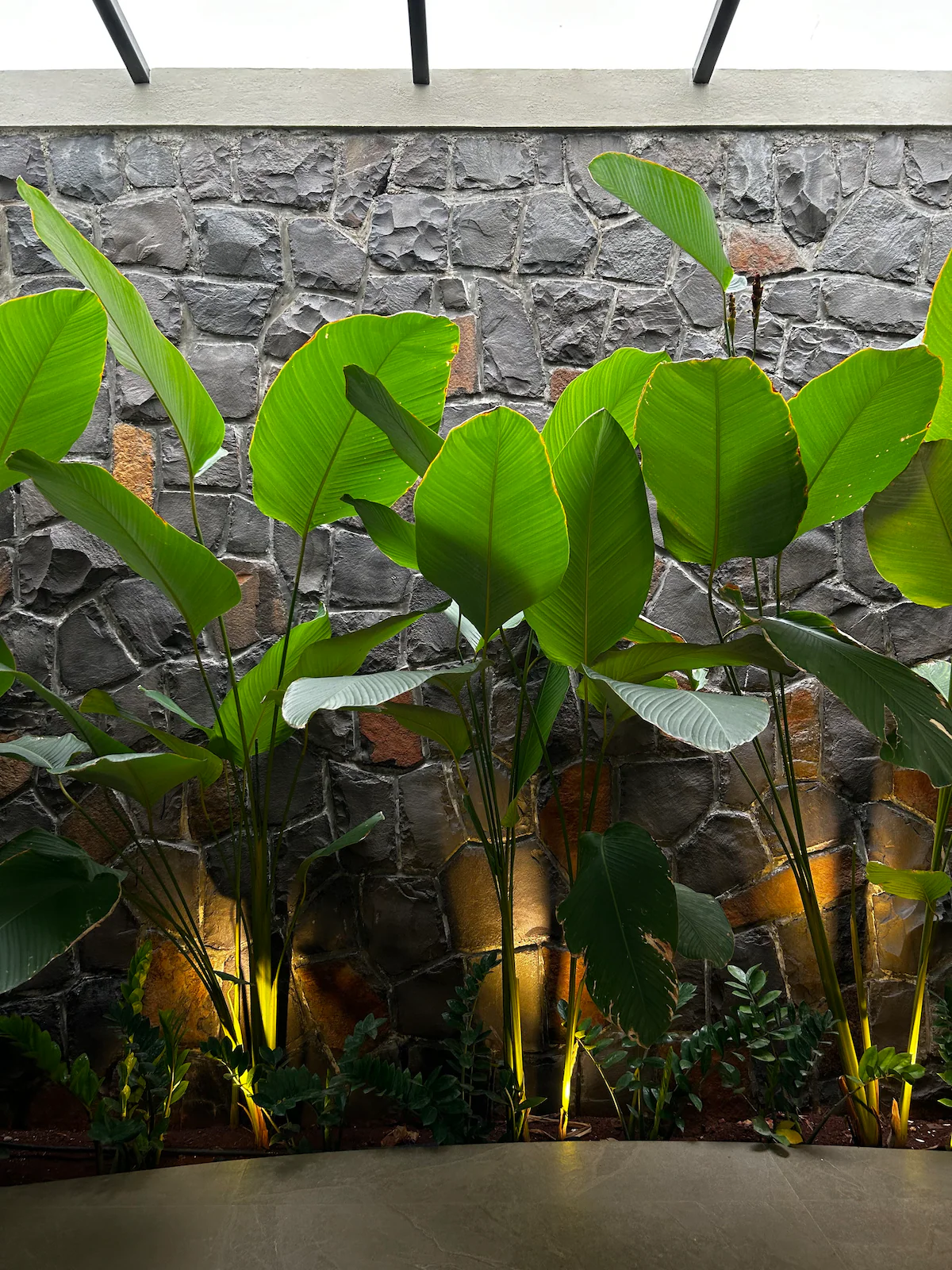 The Open House at Saukhya Farm