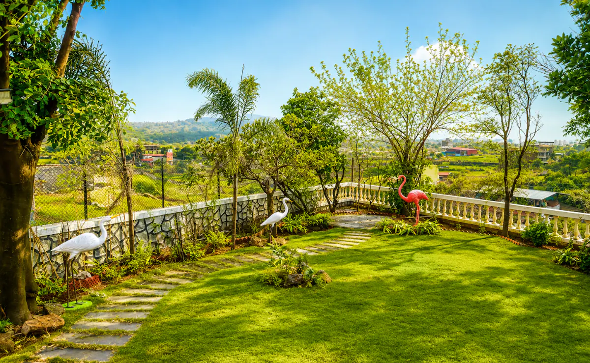 The Backyard Story Igatpuri