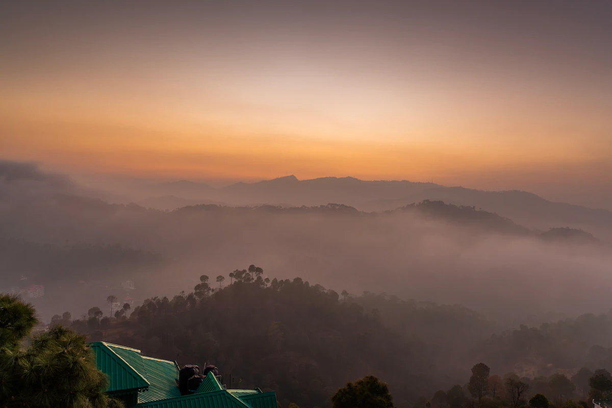 Vaza near Kasauli