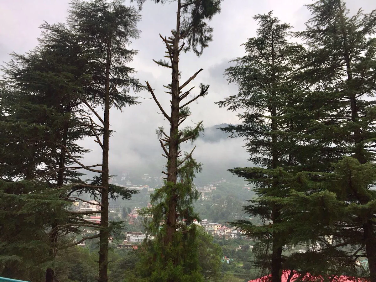 20 Deodar House Solan