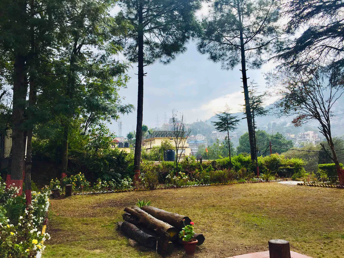 20 Deodar House Solan