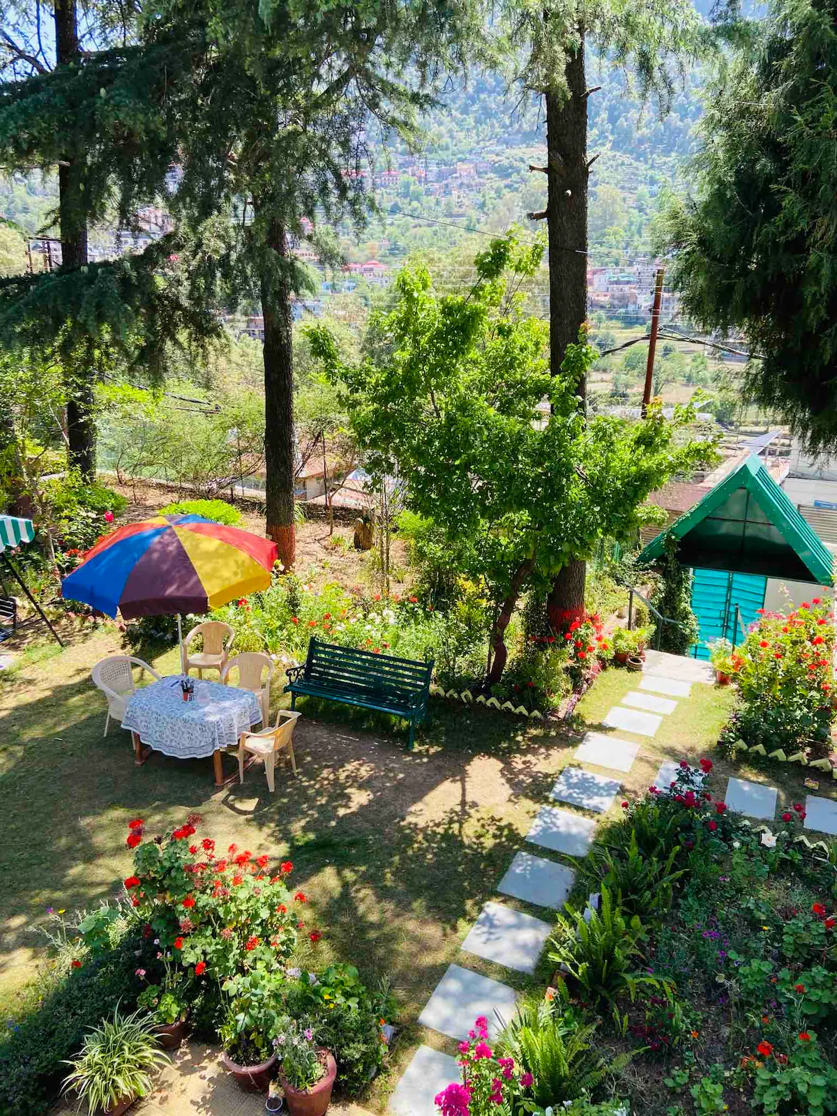 20 Deodar House Solan