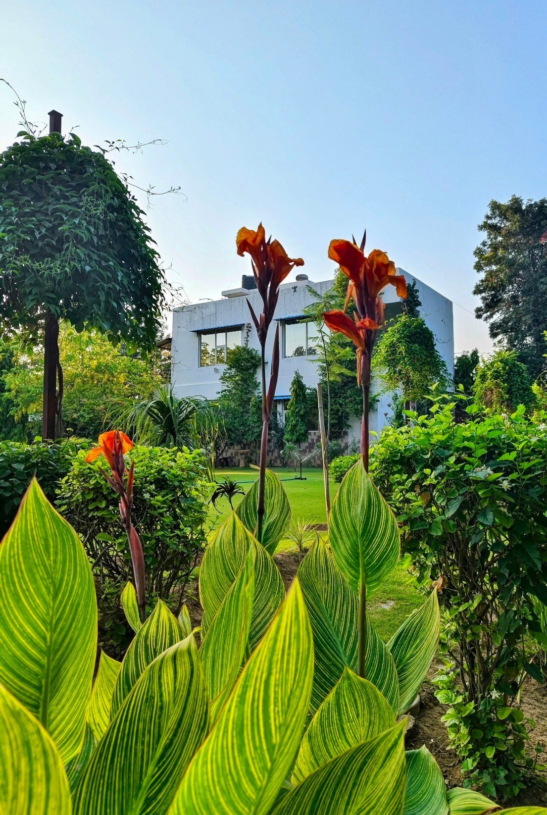 Farmaze Gurugram