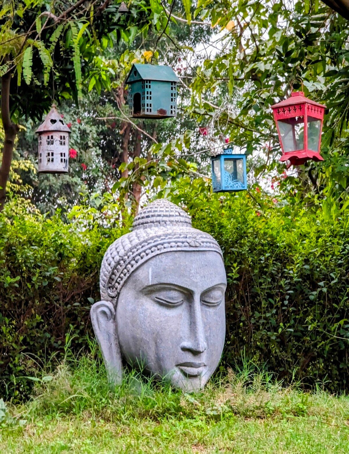 Farmaze Gurugram