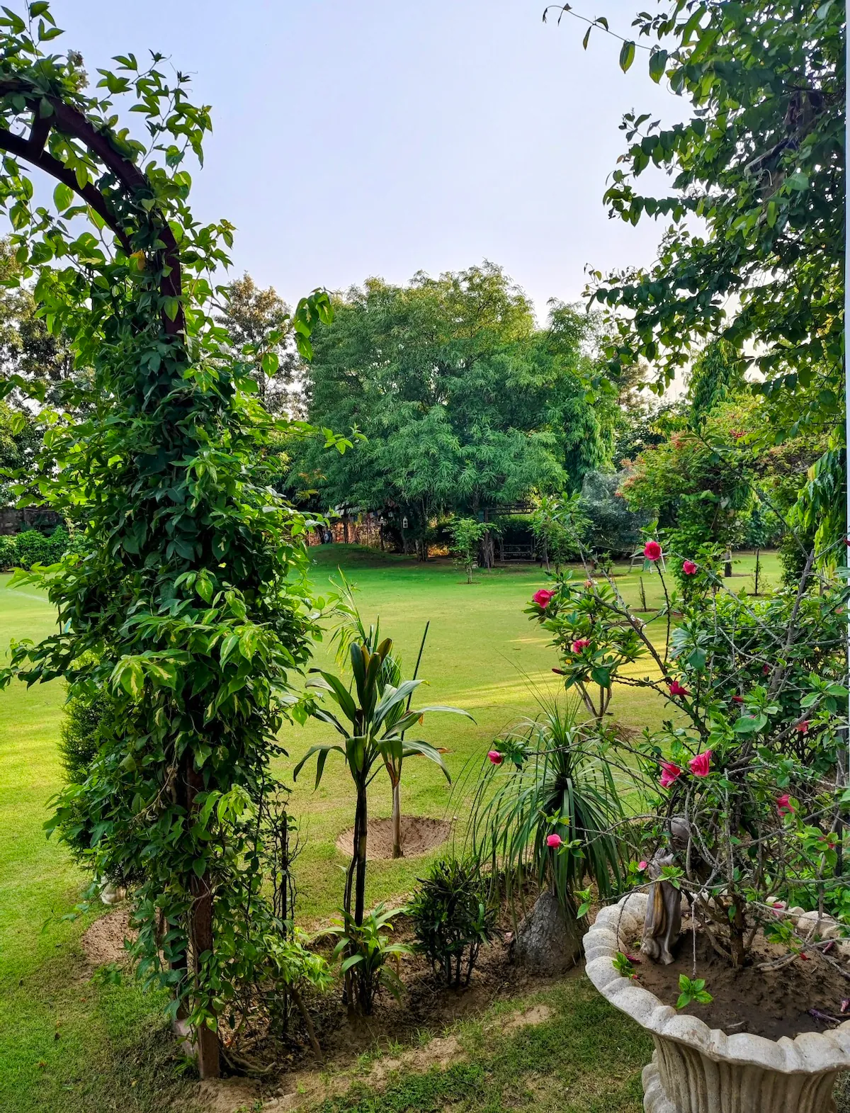 Farmaze Gurugram