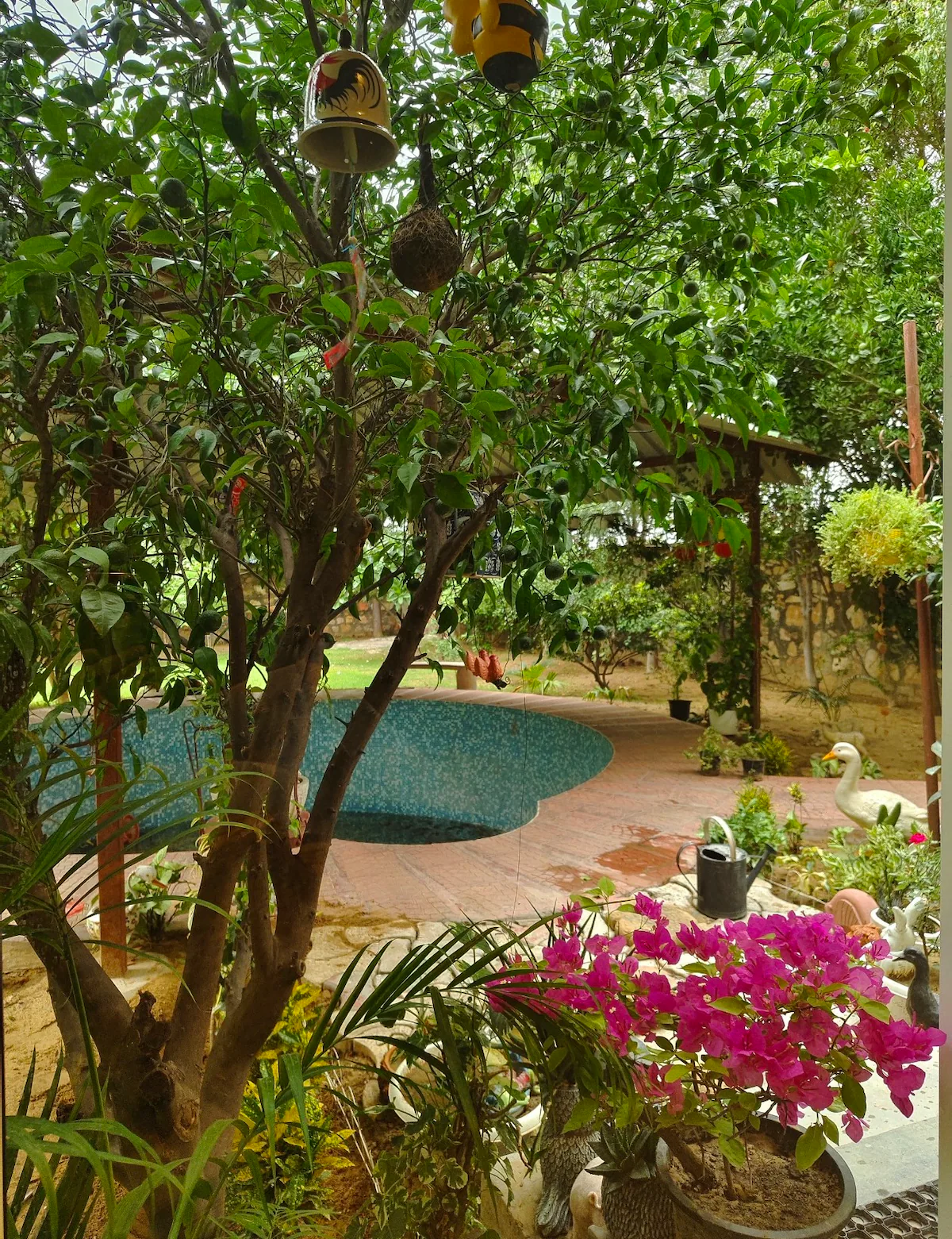 Farmaze Gurugram