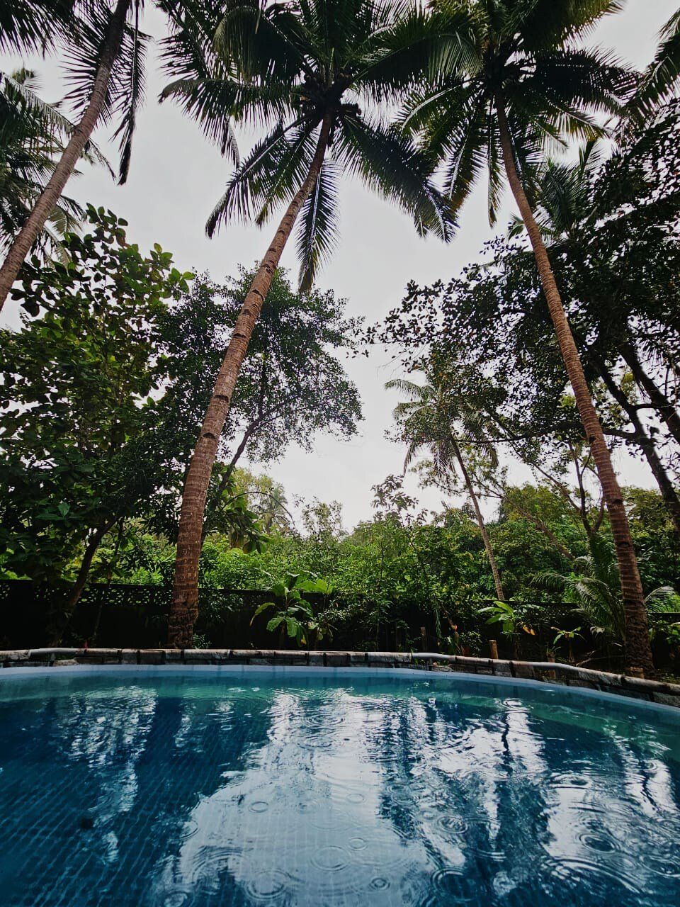 Casa Jacques Goa