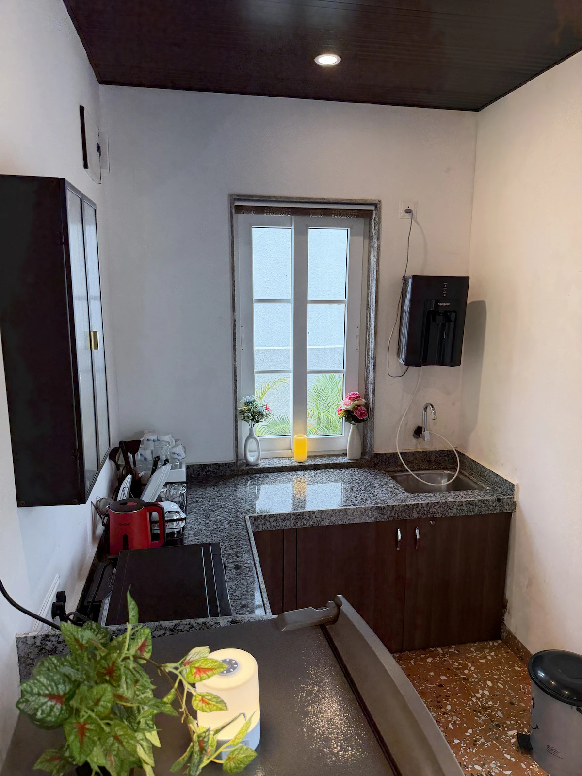 Coastal Palm Villa Alibaug