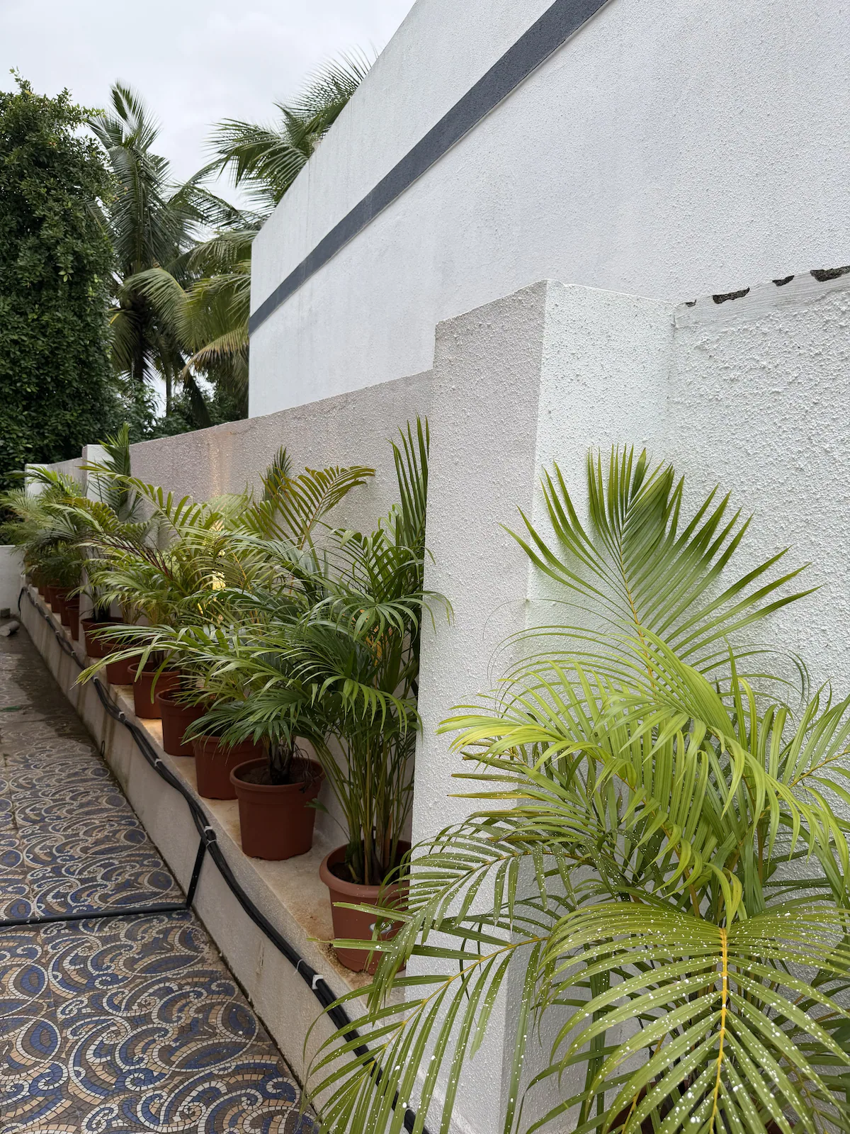 Coastal Palm Villa Alibaug