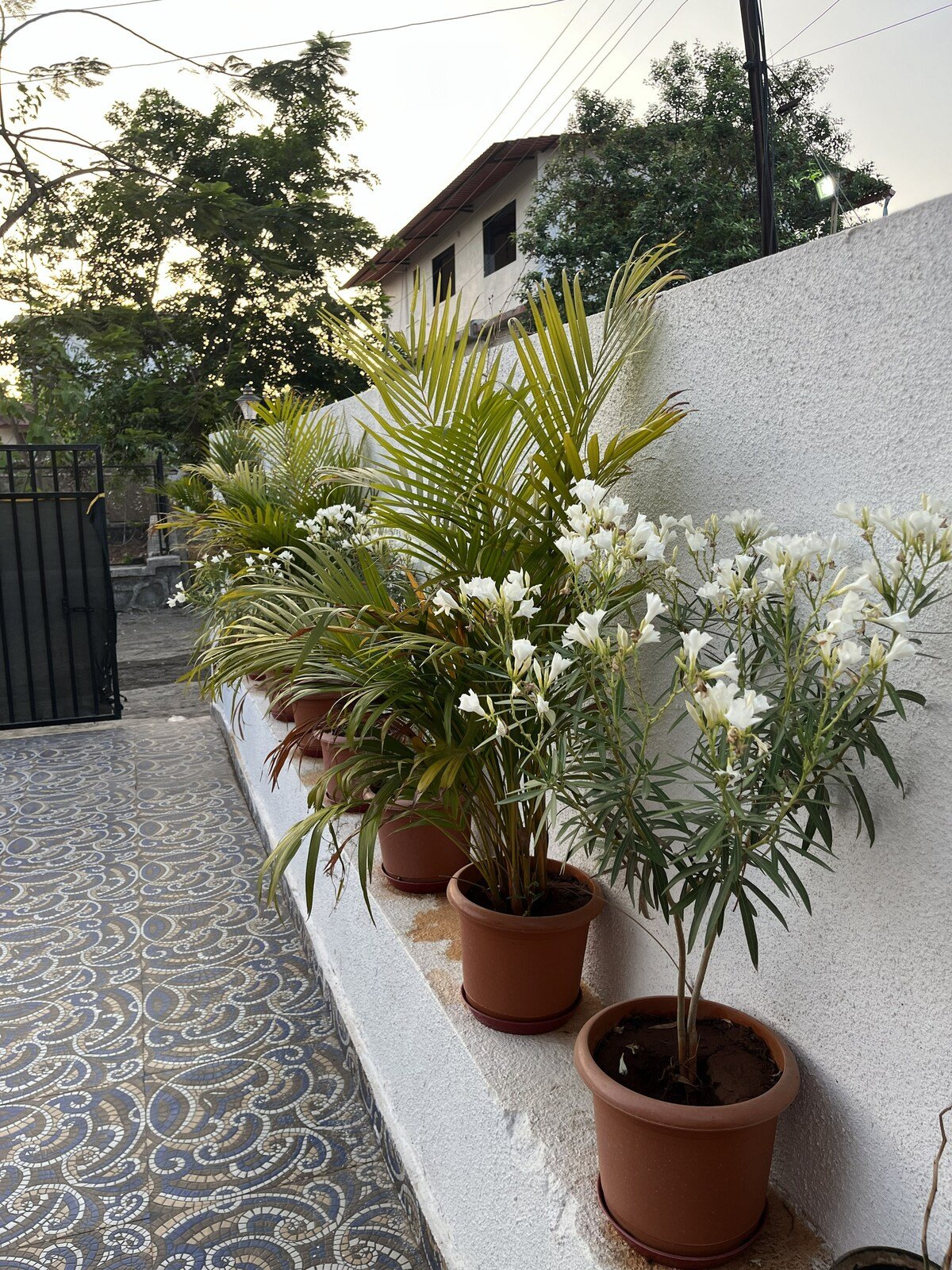 Coastal Palm Villa Alibaug