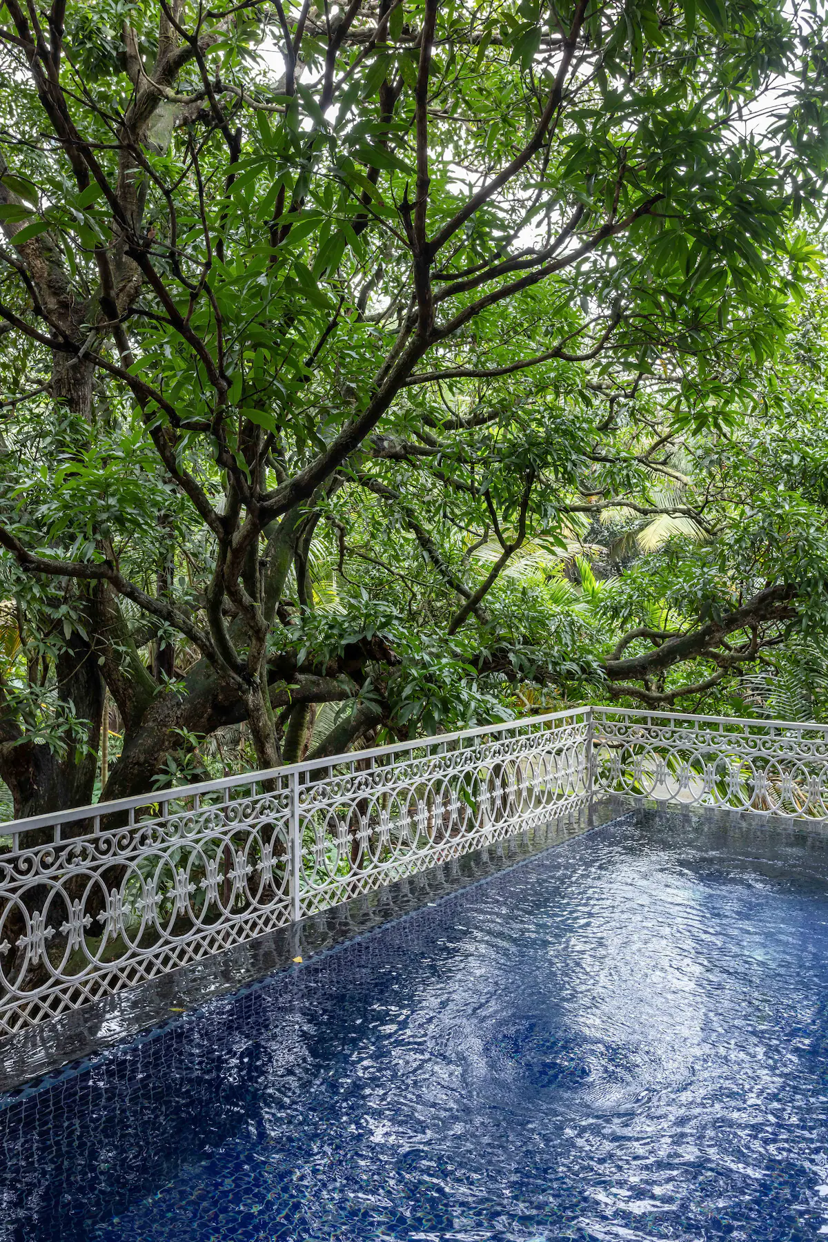 Villa Jaanzu Goa